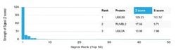 HR6B/UBE2B Antibody (PCRP-UBE2B-1C7) - Azide and BSA Free, Novus Biologicals